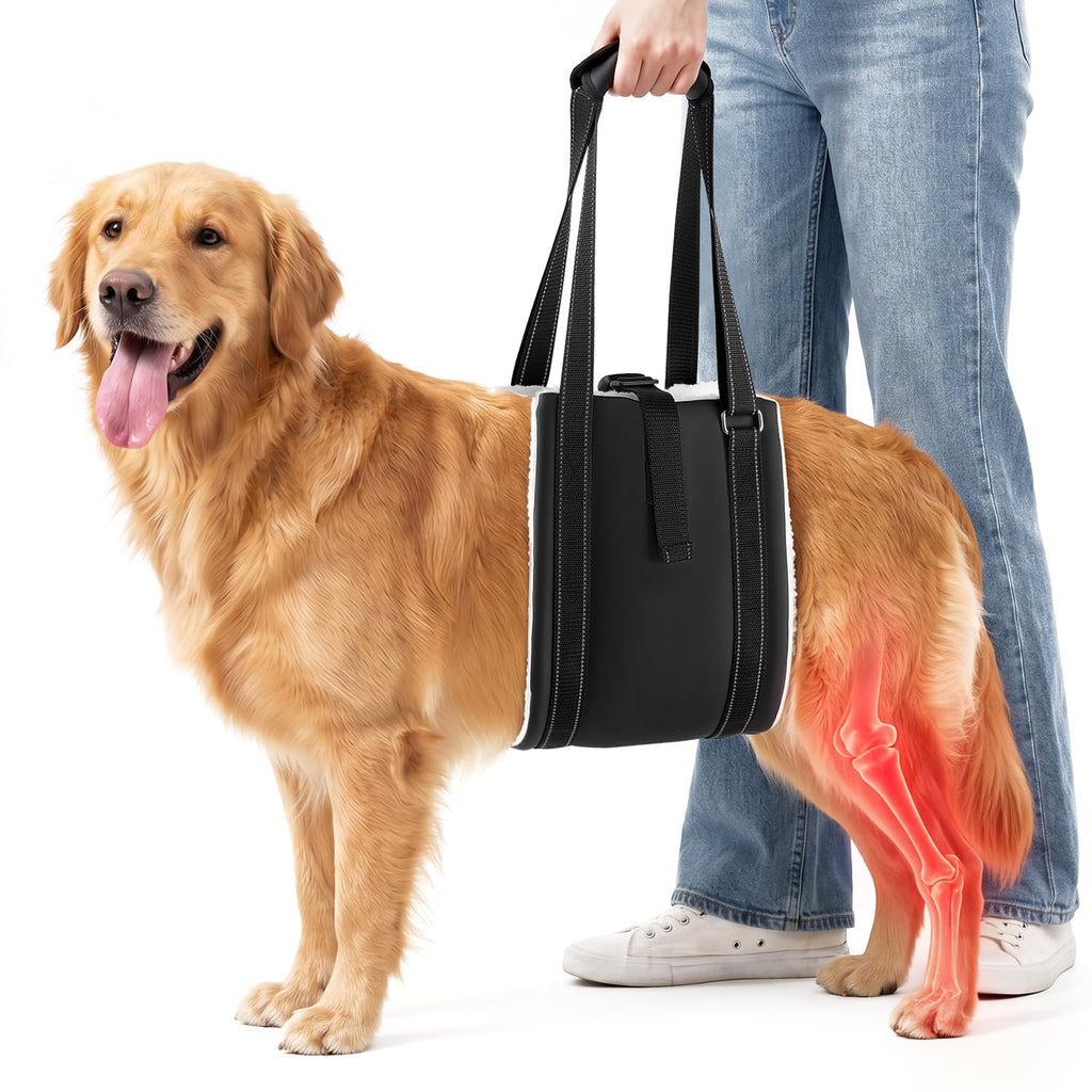 ba03733c93279d84d42123c05ce70409