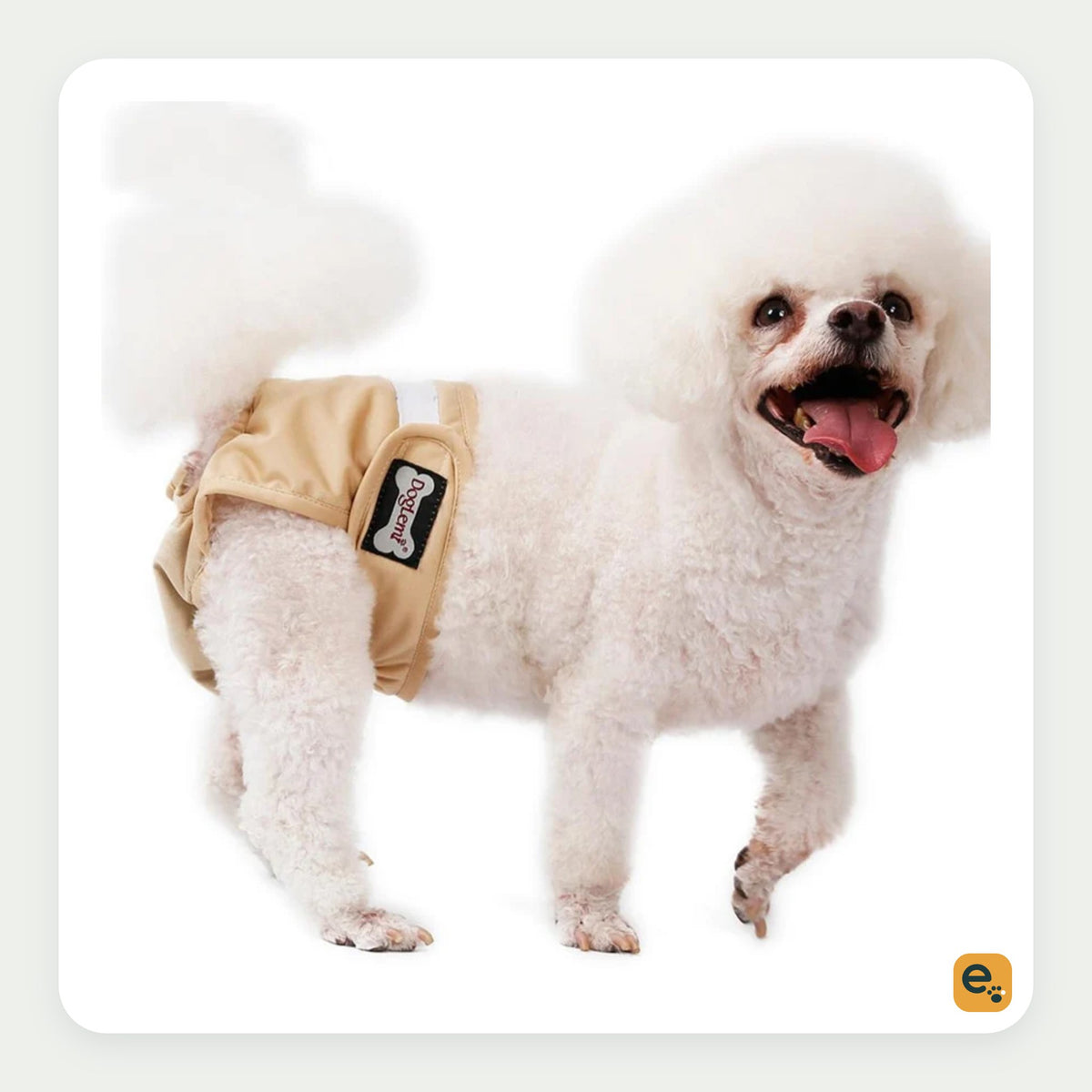 Elderwag Washable Diapers for Female Dogs