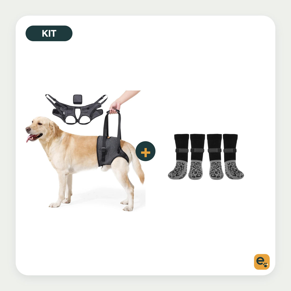 Elderwag Help Them Up Kit