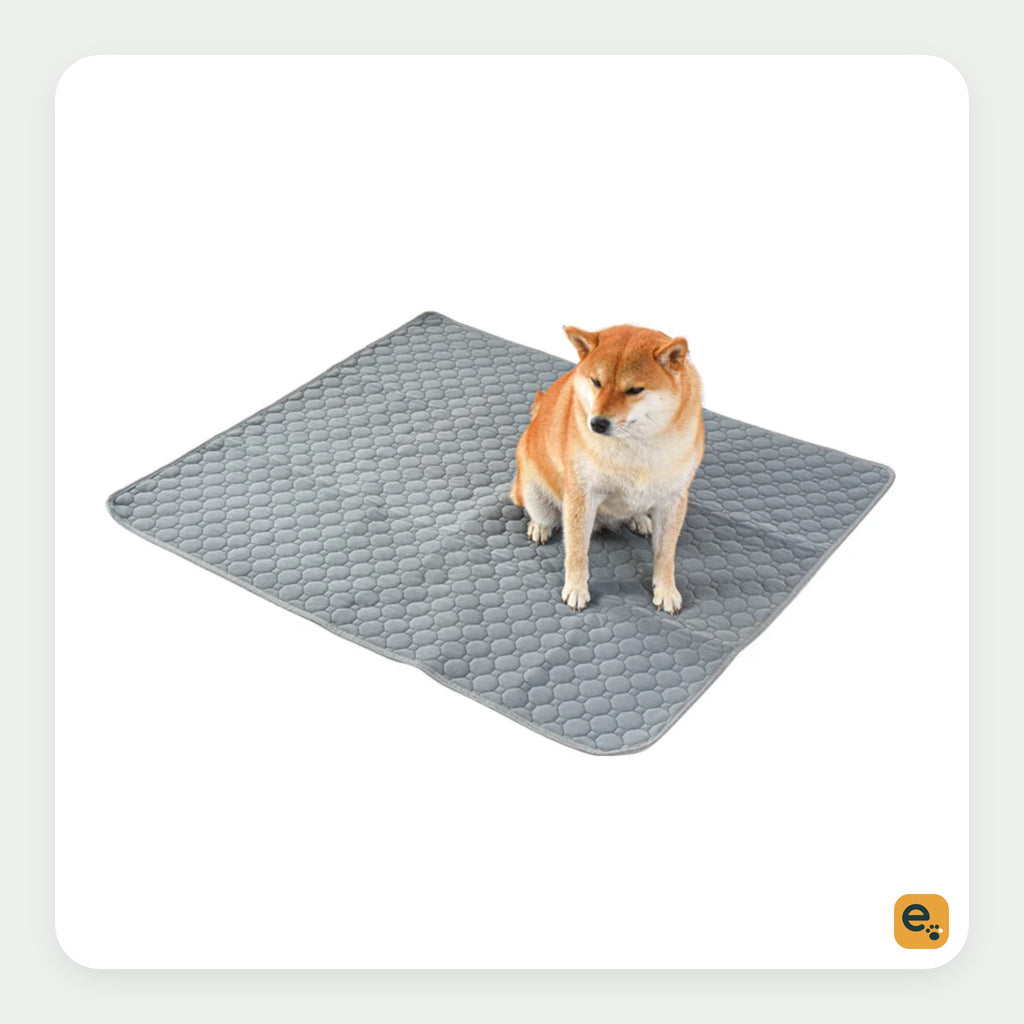 Elderwag Washable Waterproof Pee Pad