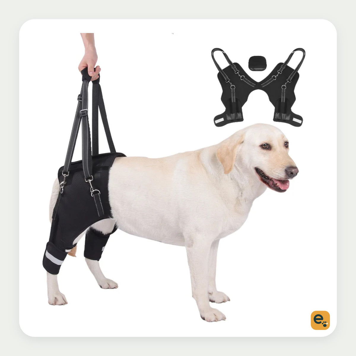 Elderwag Rear-Leg Assist Harness